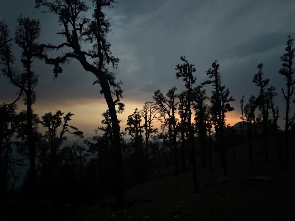 Ghana Campsite, Wan to Pana section, Known as Lord Curzon Trail, Part of Trans Uttarakhand Traverse
