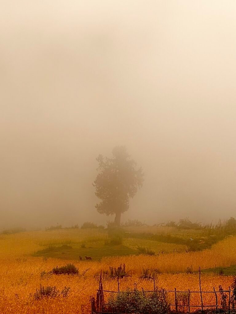 Urgam Valley
